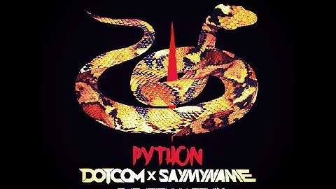 DOTCOM X SAYMYNAME - Python (PARADIGMmm Remix)