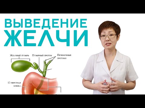 Как откачать желчь в домашних условиях