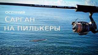 видео: Осенний САРГАН | Ловля на Пилькеры | ЧЕРНОЕ МОРЕ картинка: Осенний САРГАН | Ловля на Пилькеры | ЧЕРНОЕ МОРЕ