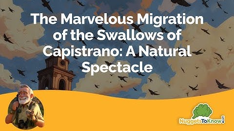 The Marvelous Migration of the Swallows of Capistrano: A Natural Spectacle