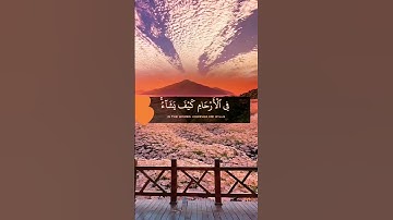 #آيات #راحة_نفسية #ارح_قلبك #تلاوات #آيات_القرآن_الكريم #دعاء #دعاء_مستجاب