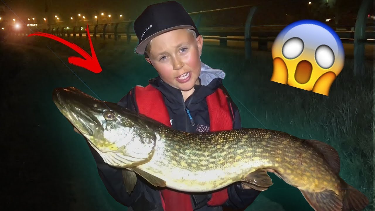 BIG PIKE FISHING during the NIGHT! (100+ cm) David's