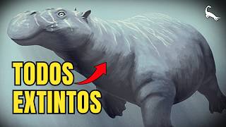 Mamíferos Marinhos Bizarros Do Passado