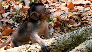 Pity Baby Jayden Scare Show Teeth Lonely No Care By Mom Jade , Jayden Lost Found Mom &Scare