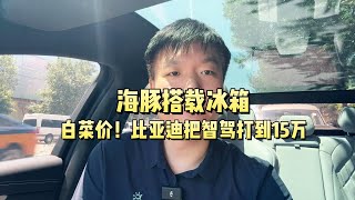 海豚搭载冰箱！15万带智驾，比亚迪要把智驾打到白菜价