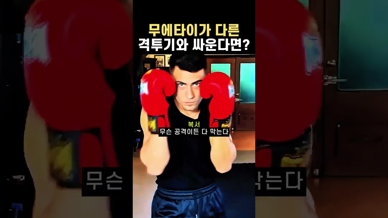 무에타이가 다른 격투기와 싸운다면