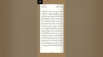 ( ٦ ) سورة النمل : من الآية ( ٥٦ - ٦٣ ) الجزء العشرون