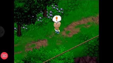 Harvest moon tale of two towns hướng dẫn năm 2024