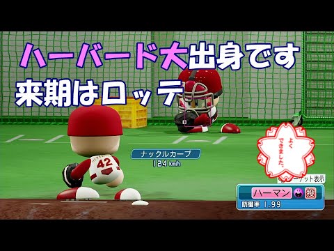 【選手名鑑】1分でわかるハーマン（ロッテ）　球種編