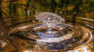 Moorland Songs - The White Birch (Scandinavian)