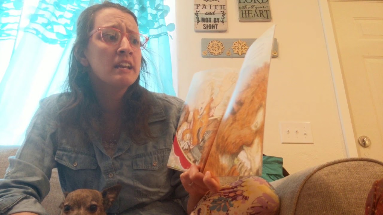 One-Dog Canoe - YouTube