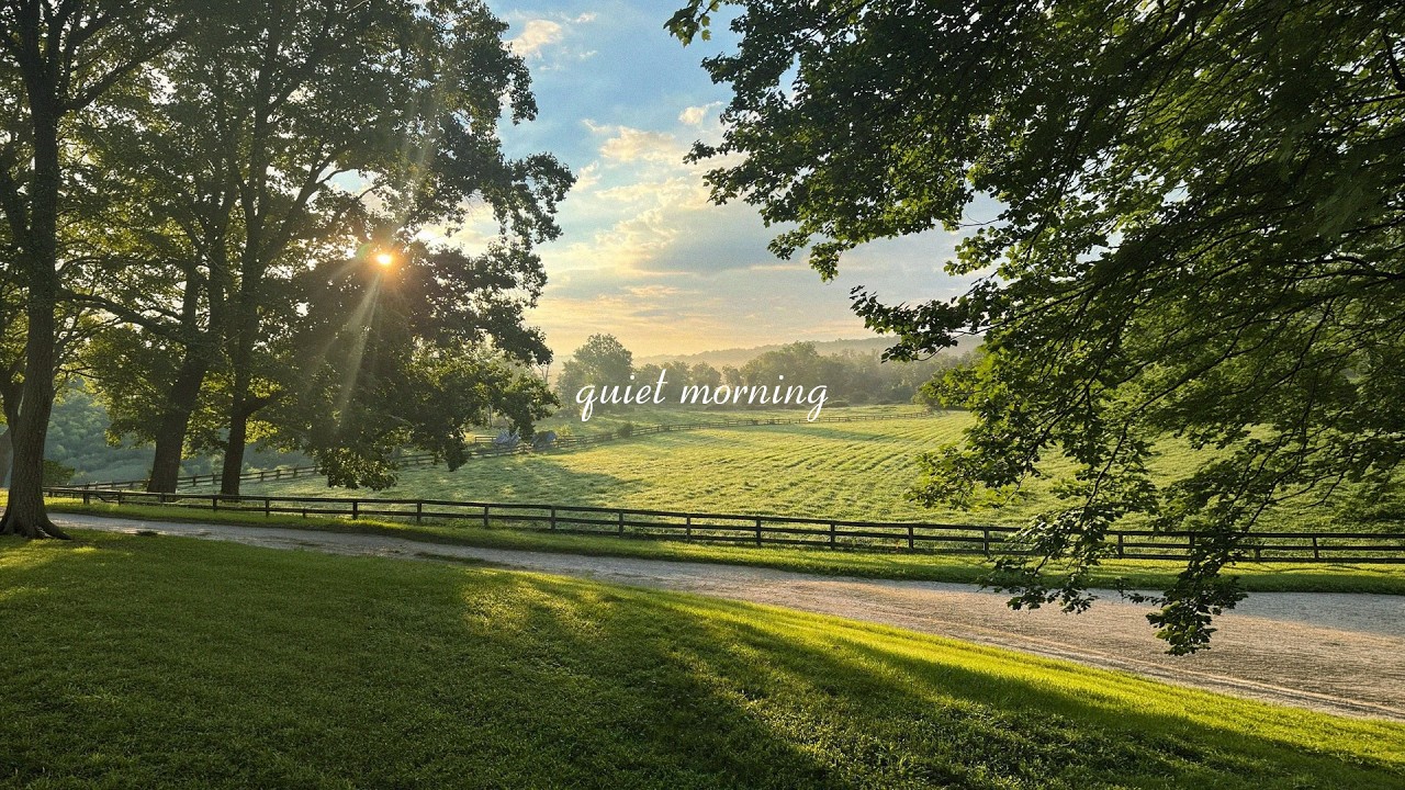 Watch a quiet august morning ☀️ soft piano for calm minds & focus on YouTube Watch a quiet august morning ☀️ soft piano for calm minds & focus on YouTube