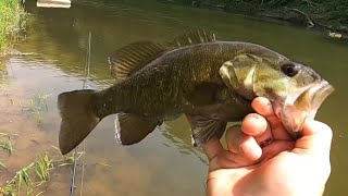 Prespawn Smallmouth Bass Fishing