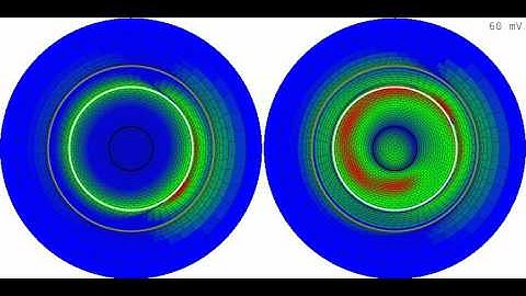 "Sliding Helix" model pressure animation (Fig 3.9)