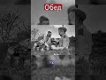 Фронтовой обед на траве #вов