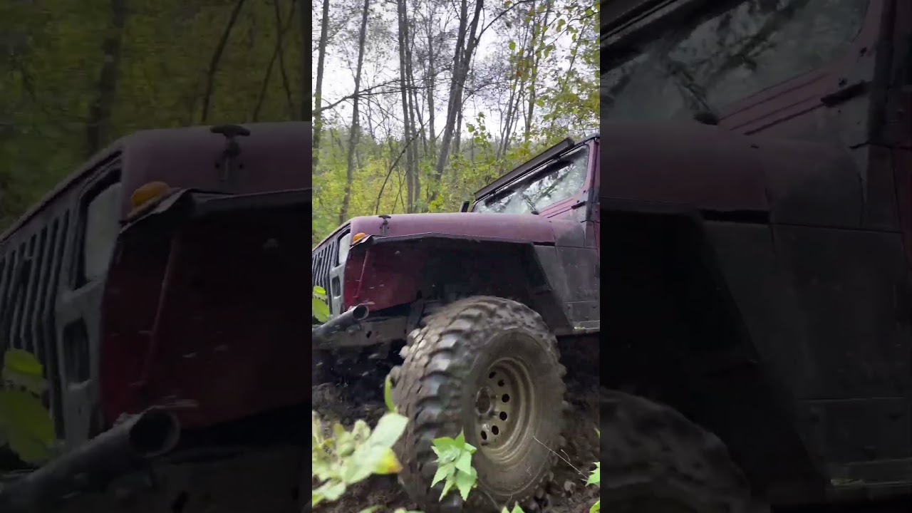 Покатухи по бездорожью Офроад в Беларуси осень 2023 / Off-road rides in the forest autumn 2023