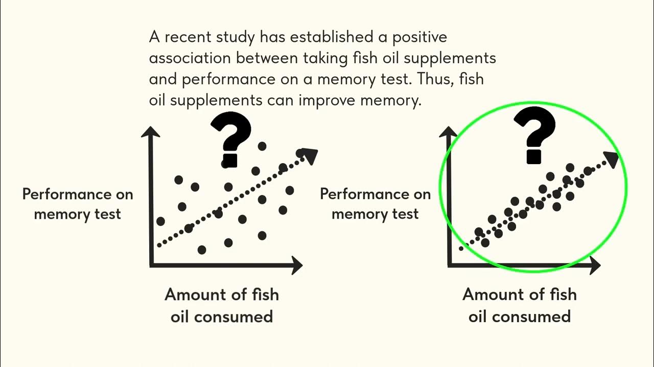 Lsat lr strengthen weaken the correlation causal reasoning youtube