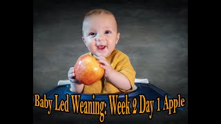 Baby led Weaning: Week 2 Day 1 - Apples to Apples