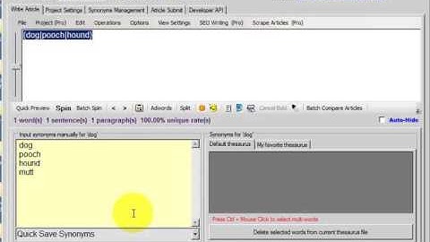 SpinnerChief Tutorial   Thesaurus Creation