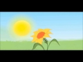 Science Concepts and Plant Behavior