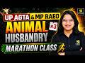 UP AGTA & MP RAEO Marathon | Animal Husbandry Top MCQs & Concept Revision #3 | Ananya Ma'am Ma'am