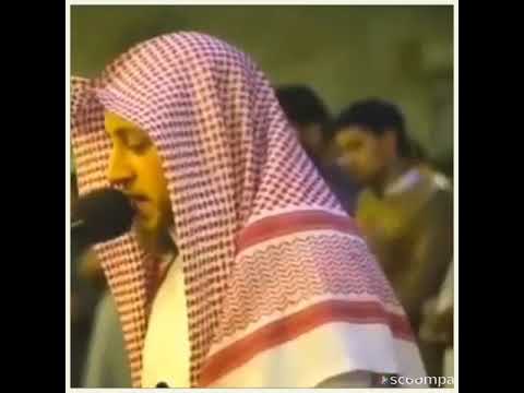 وانزل لكم من السماء ماءا فانبتنا به حدائق ذات بهجه والقارئ الشيخ حمزه الفأر وتلاوه مبدعه