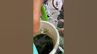 This grass jelly ice keeps your throat feeling really fresh for a long time! #streetfood #ice #sa...