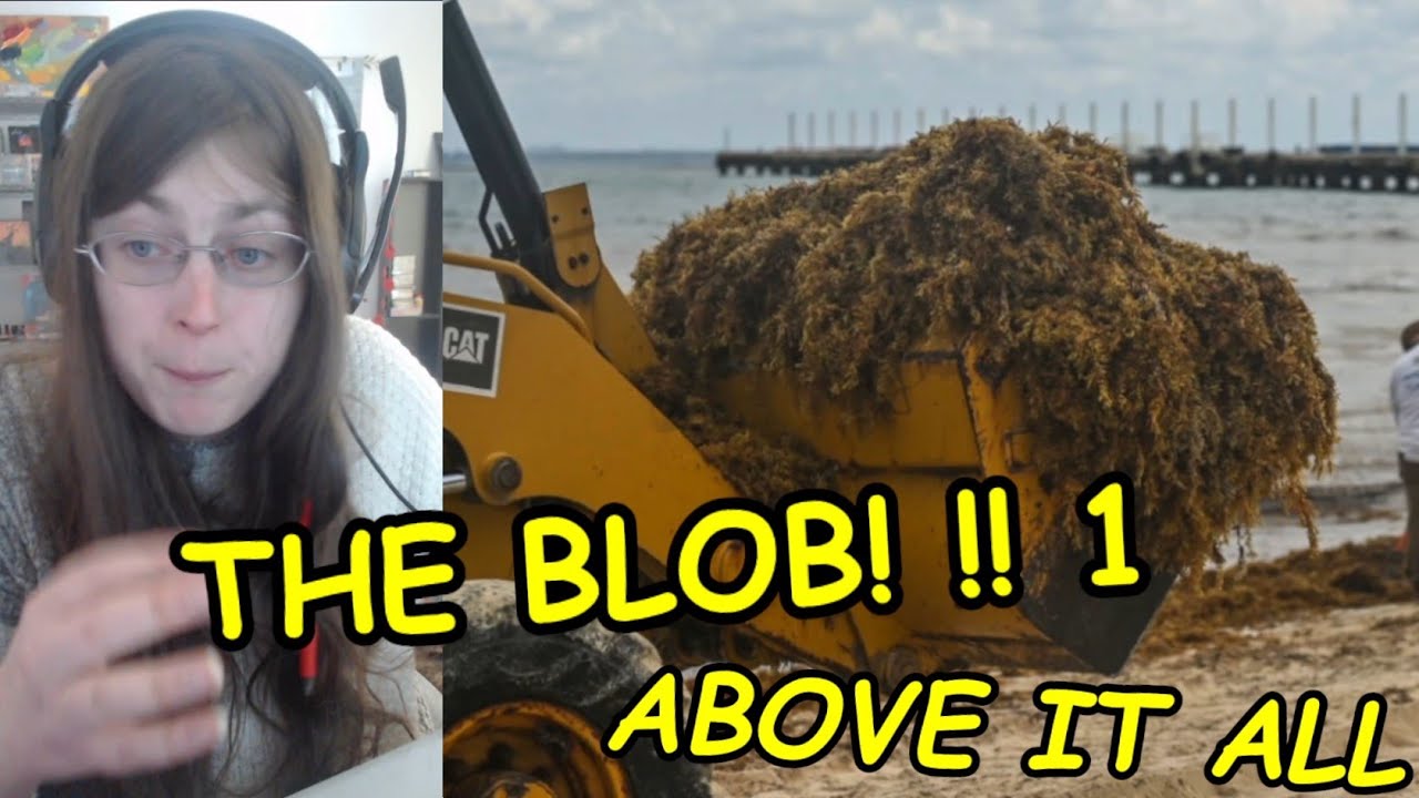 Giant Blob Of Seaweed Heads For Gulf Of Mexico - YouTube