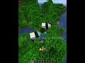 Bạn Có Biết Steve Với Alex Trong Minecraft Có Thể Là Anh Em...