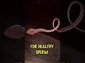 Zinc for Healthy Sperm and Male Fertility