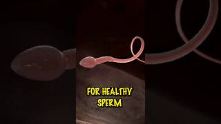 Zinc for Healthy Sperm and Male Fertility