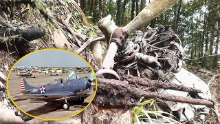Uncovering the Lost WWII Plane: The Tragic Tale of Ramsey's Dauntless