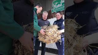 Behind the Scenes at Gordon Elliott’s Yard |McHale Raceday 2026 Build-Up