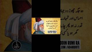 Molana Jalaluddin Rumi RA Quotes | Adab Quotes