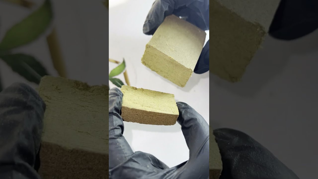 AMNESIA HAZE | Pollen