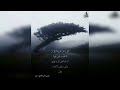 عتابا وائل بشلاوي 