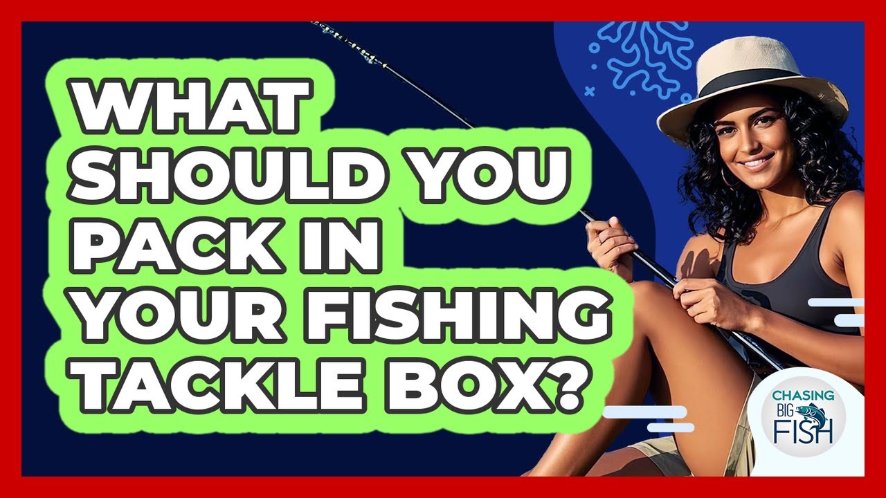 What Should You Pack In Your Fishing Tackle Box? - Chasing Big Fish