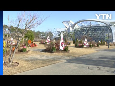 [날씨] 내륙 맑고 온화한 날씨...동해안 눈·비 / YTN