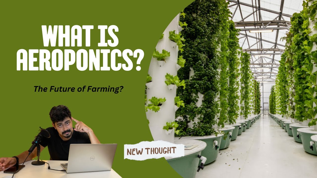 What is Aeroponics