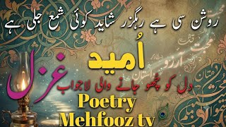 Best urdu poetry | Umeed Shayari | Best poetry collection | Heart touching poetry | urdu shayari  screenshot 3