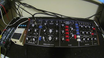 Behringer Model D & Boss DD3 Digital Delay