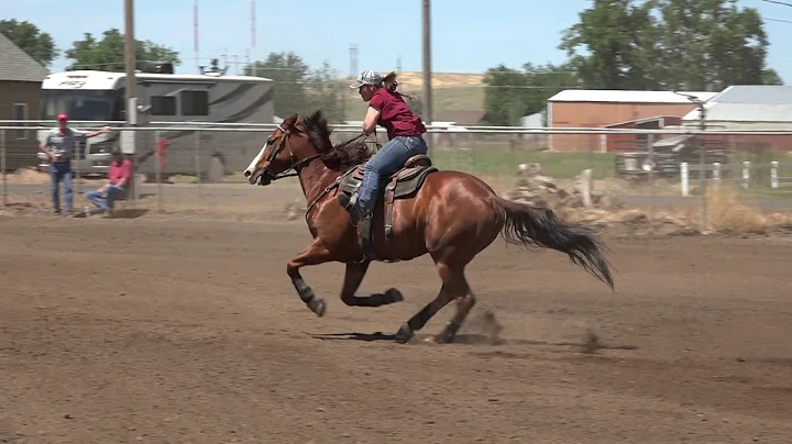 Stephanie Schofield and Fames Frequent Flyer 18.59...