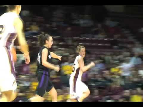 Winona State Warriors vs. Minnesota Golden Gophers 11/4 at Willams Arena