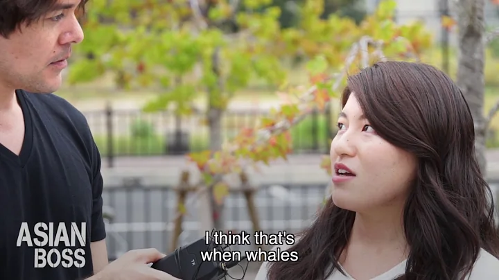 What Do Japanese Think Of Eating Whales | ASIAN BOSS - DayDayNews