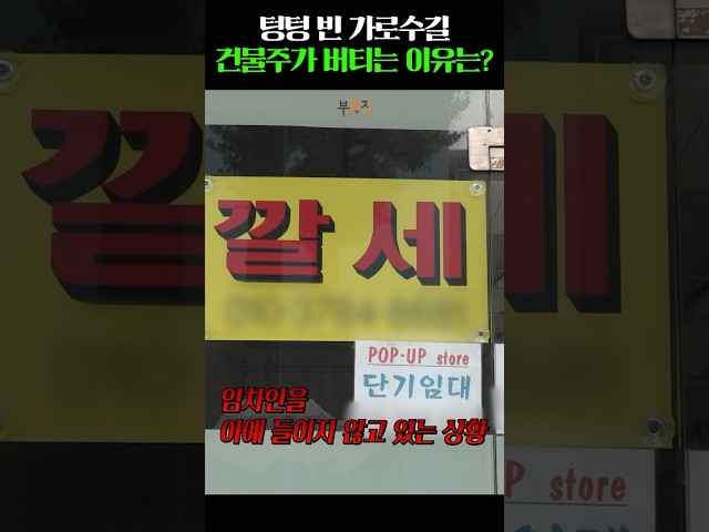 텅텅 비었는데 임대료는 '억'소리 나는 가로수길