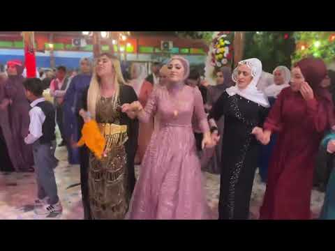 Pınar Karataş  -   Ankara’da düğün sahnesi