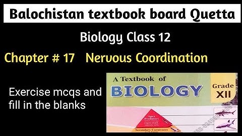 Balochistan board bio class 12 chapter 17 exercise mcqs | Nervous coordination mcqs