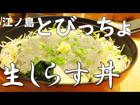 江ノ島「とびっちょ」生しらす丼！湘南名物しらす【グルメドライブ】行列のできる人気のお店の入店システム、駐車場等も紹介。新鮮で美味しい海鮮丼！Enoshima Tobiccho