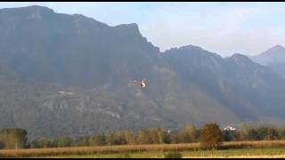 gaui 425 flybarless