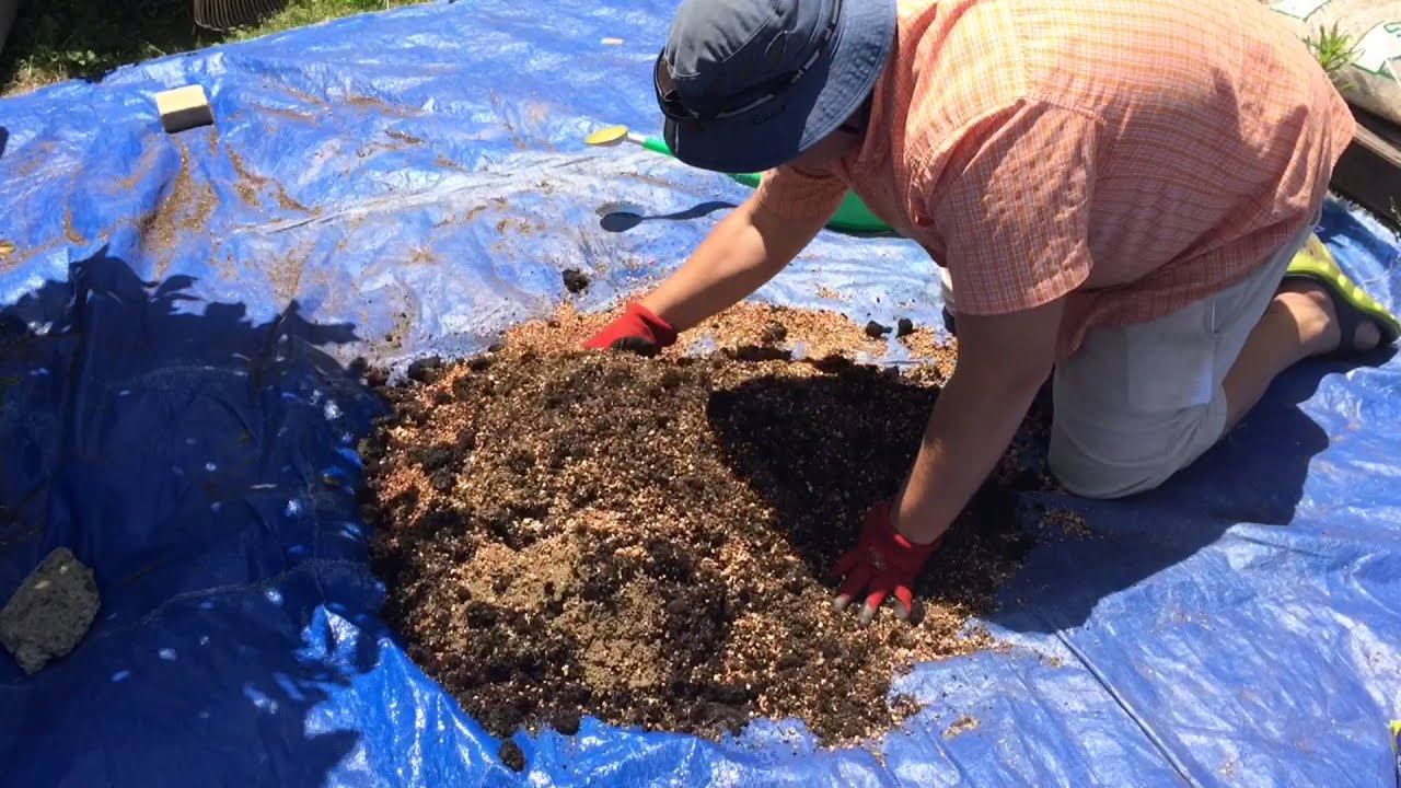 How to Make a Powerful Formula for Chilli Pepper Soil YouTube